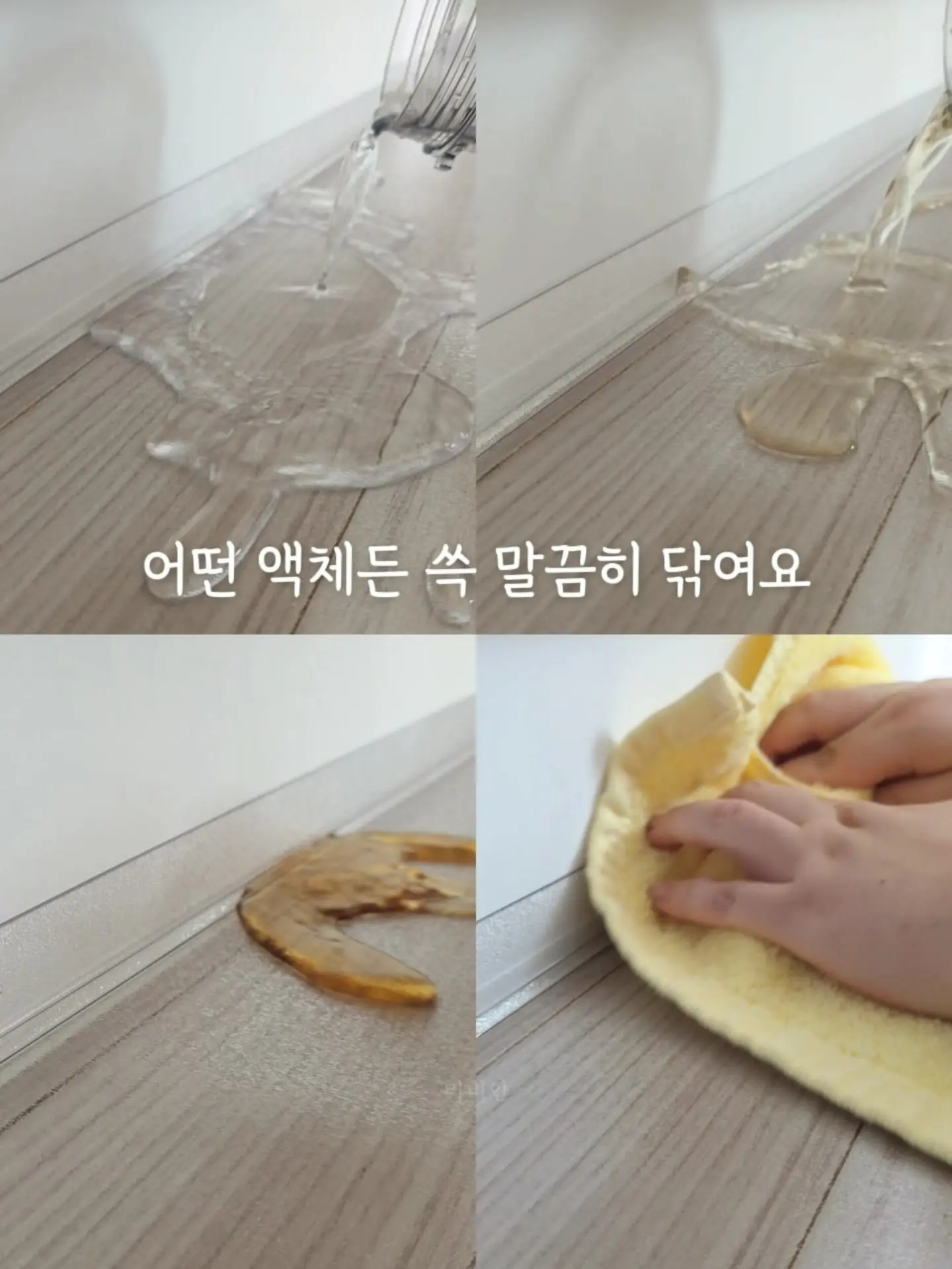 소나무분재 5