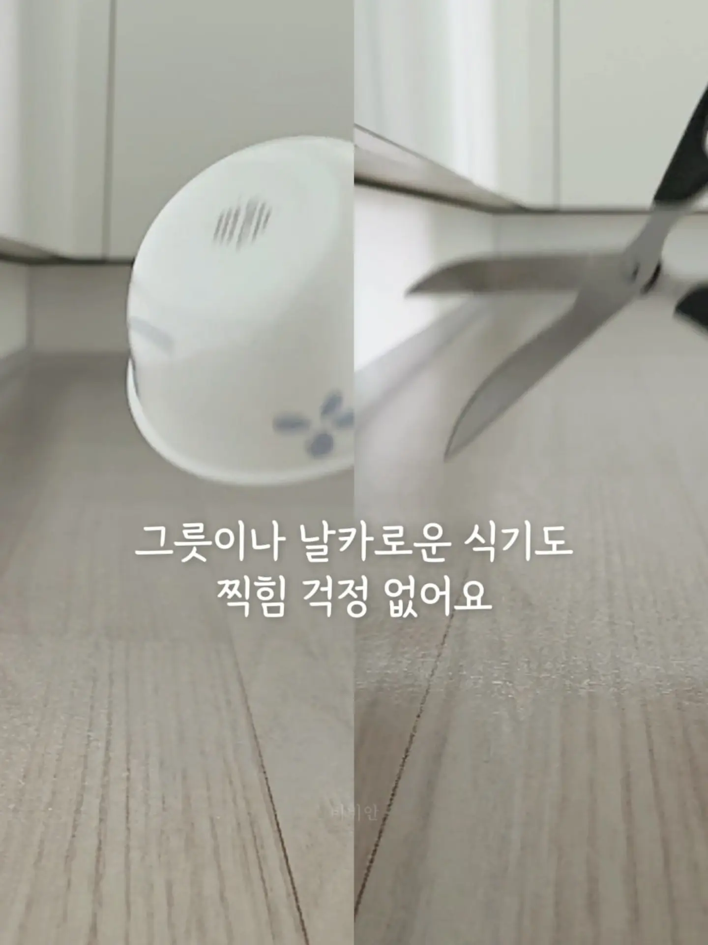 소나무분재 6