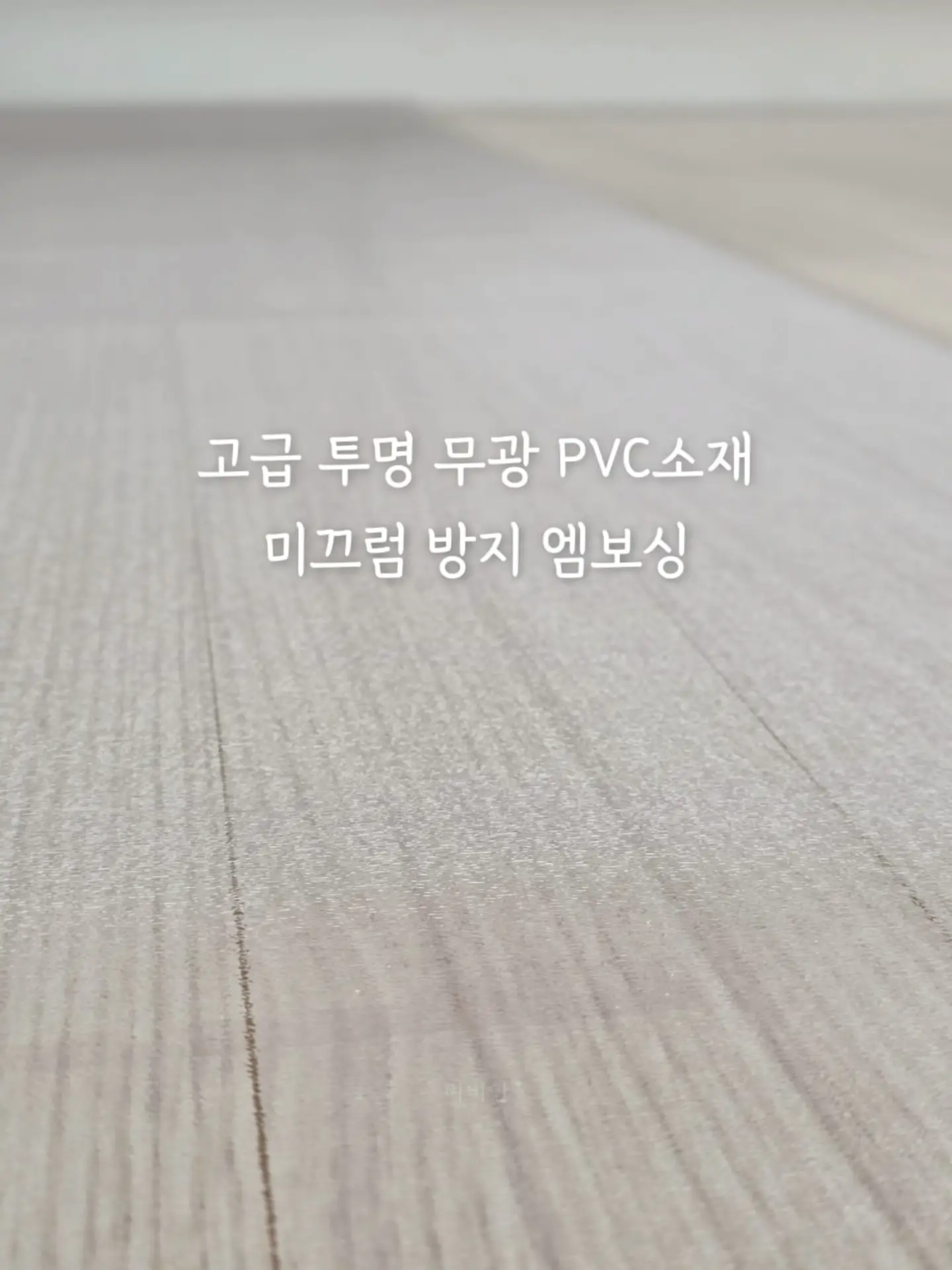 소나무분재 7