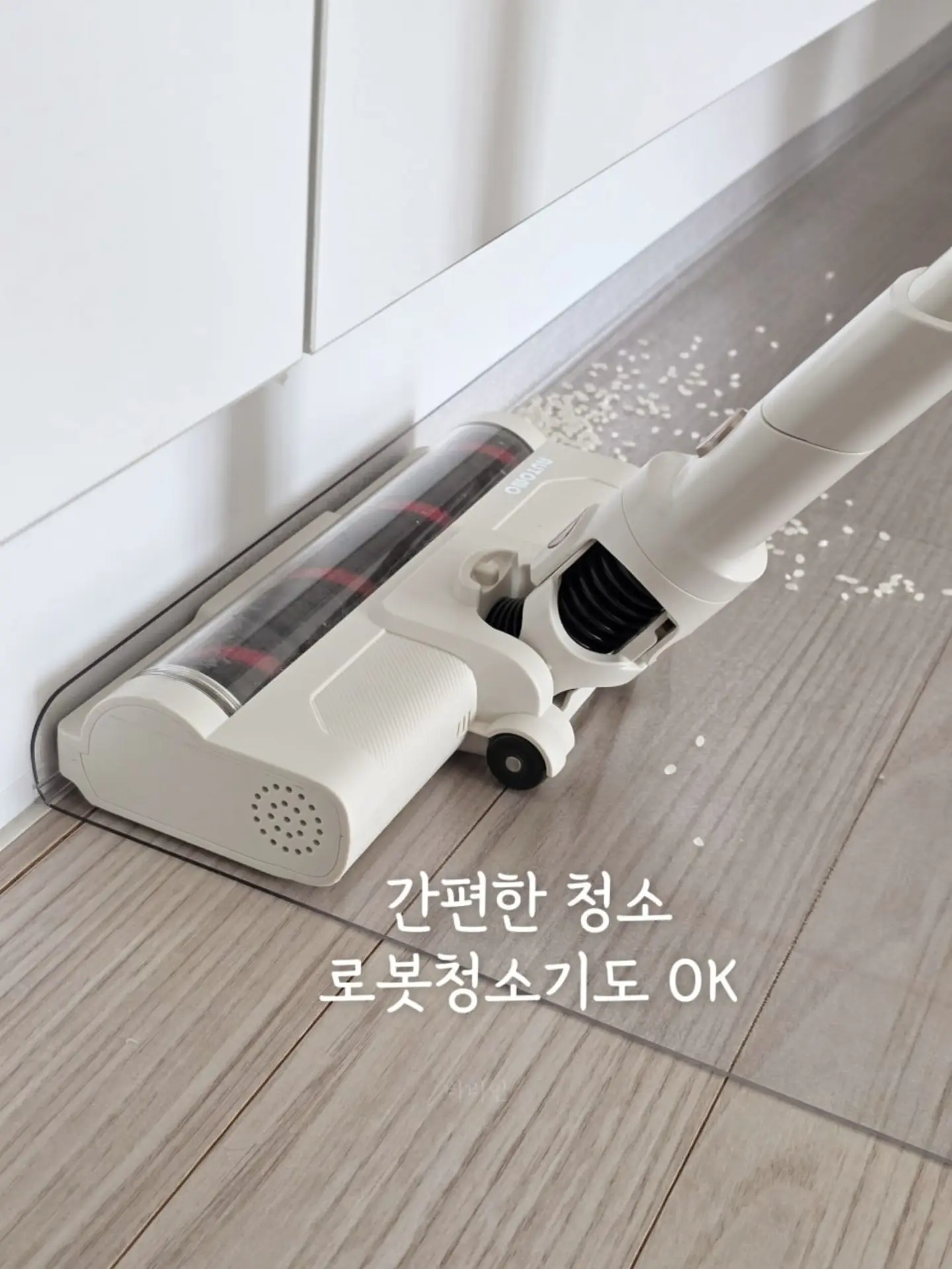 소나무분재 9
