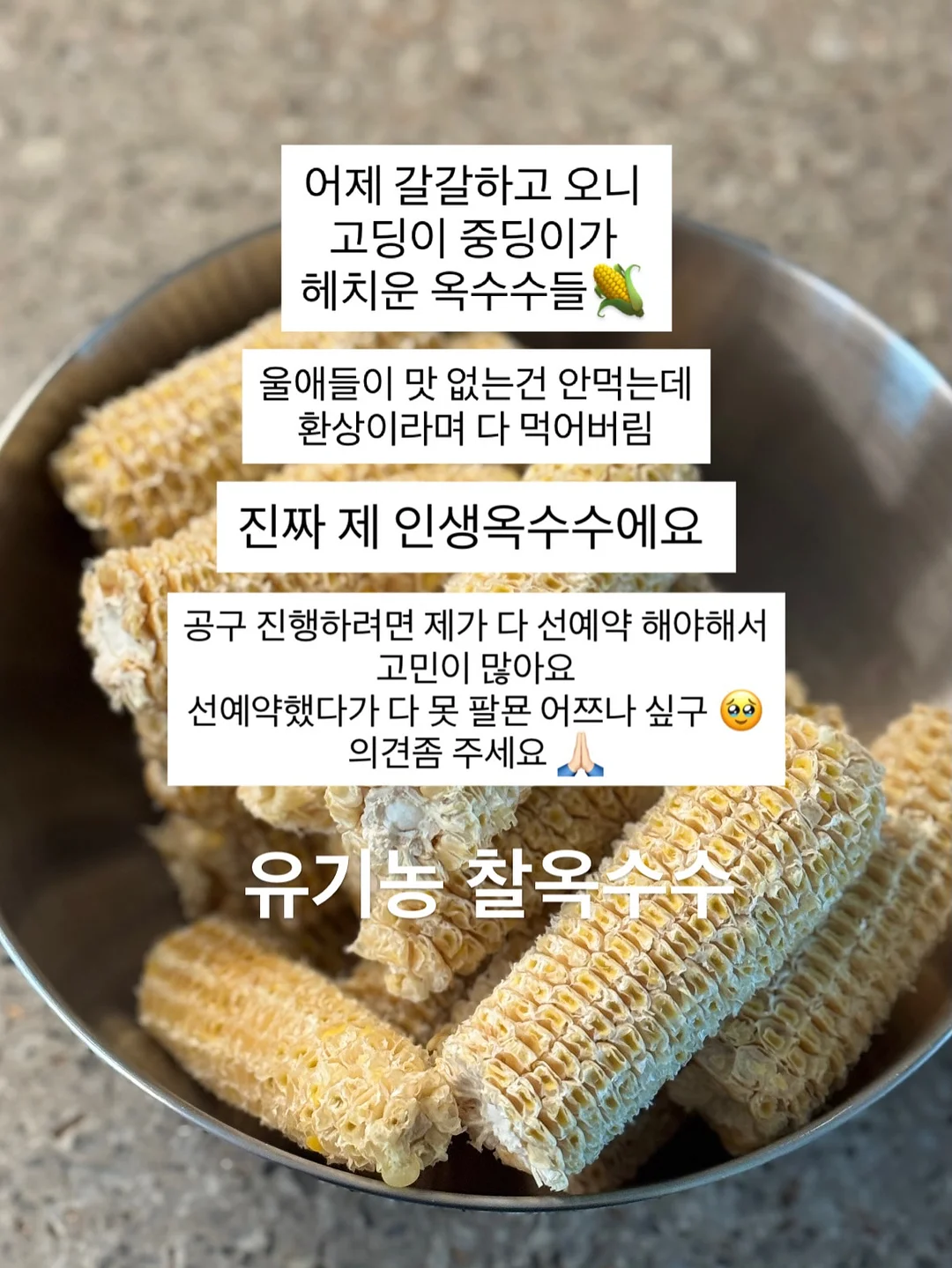 반팔티 10