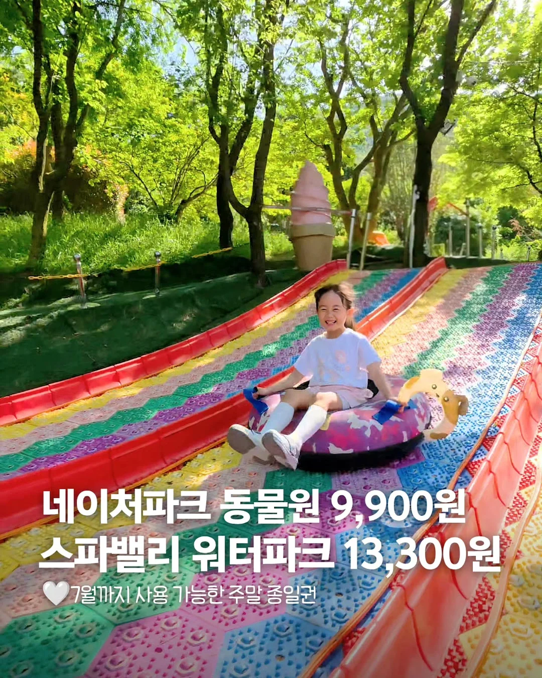 수영복 1