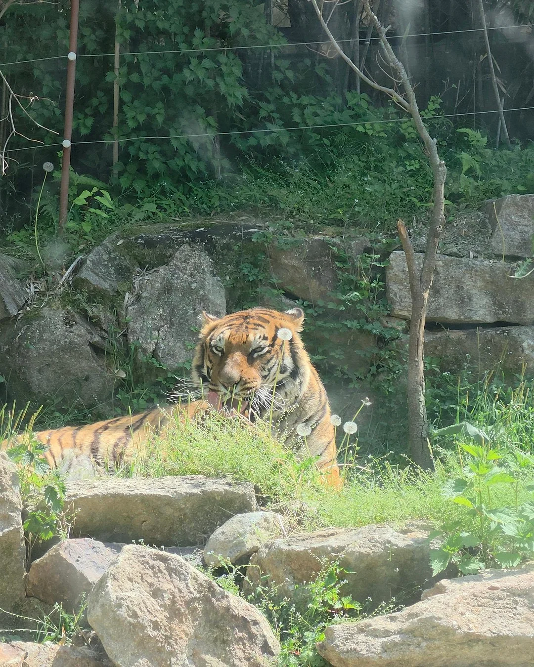 수영복 6