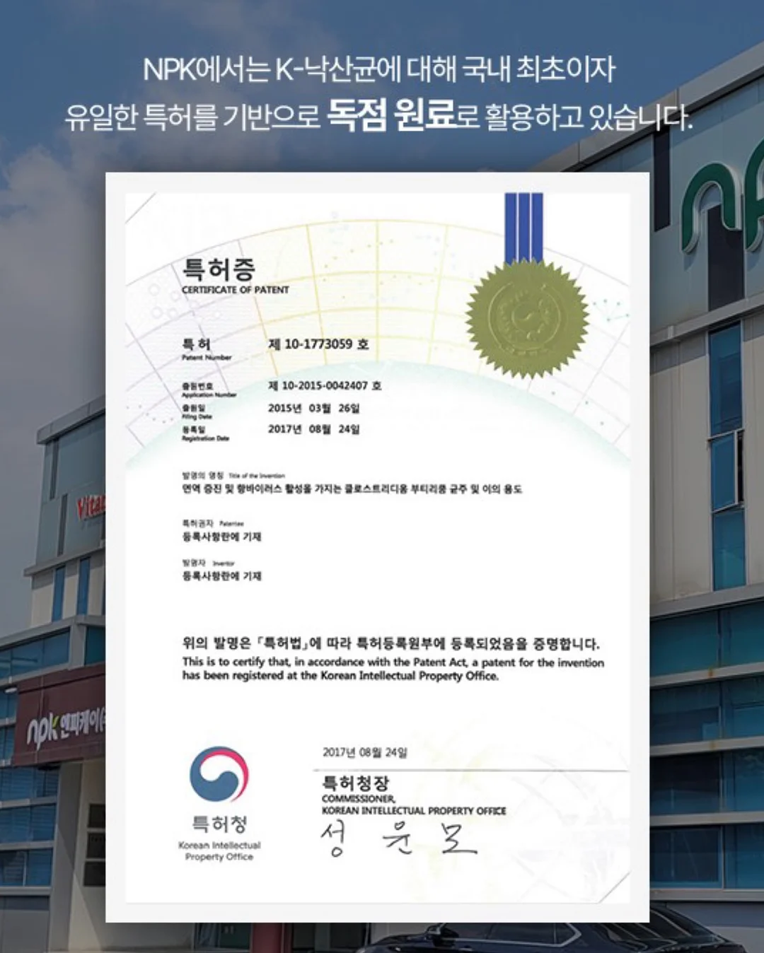 코디세트 19