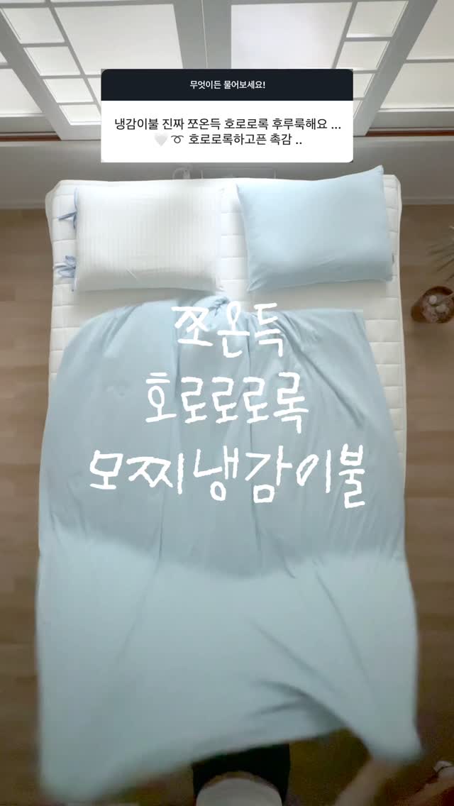 PAPIERHAUS 휴지 케이스