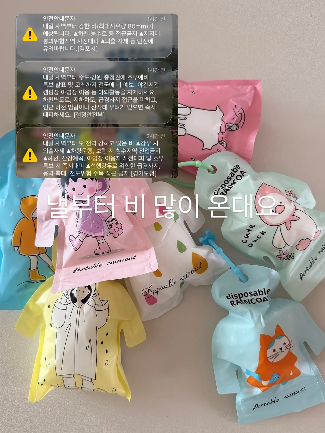 체지방 관리 조합 1