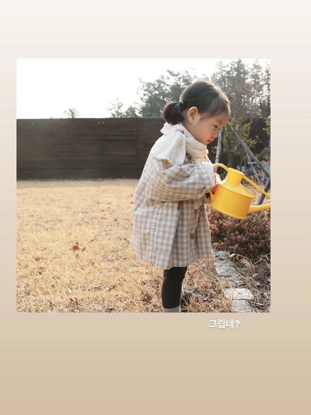 초슬림 우산 5
