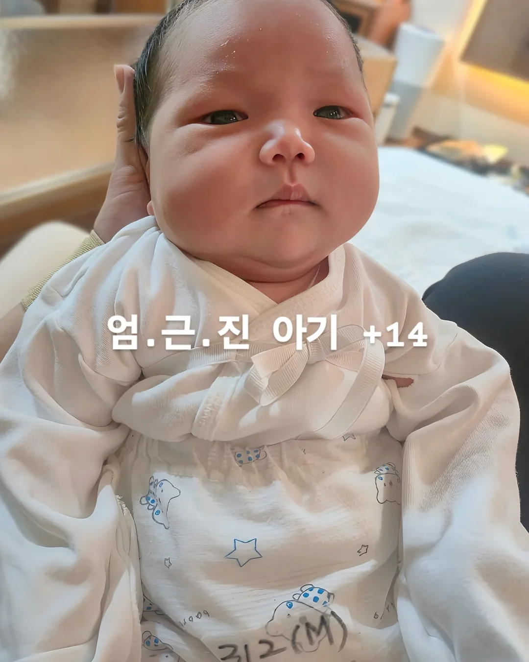 헤어 섀도우 1