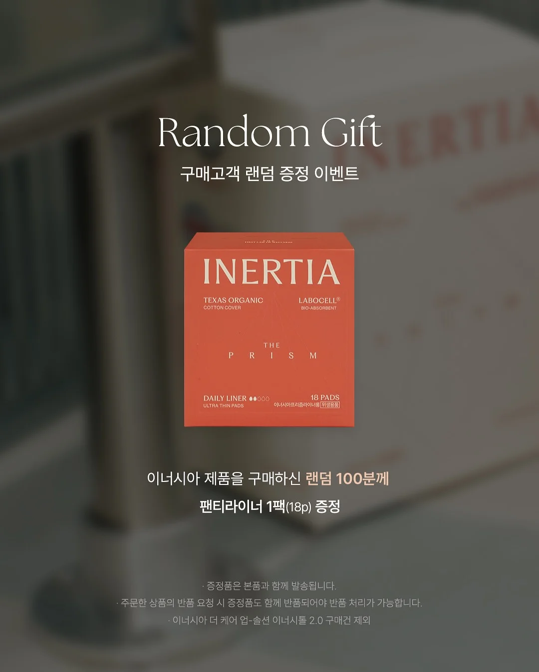 지디 데이지 라거 맥주 4캔 16