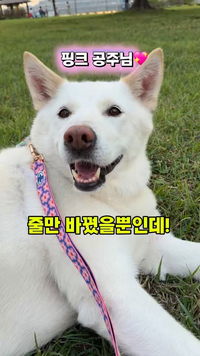 핸들파우치