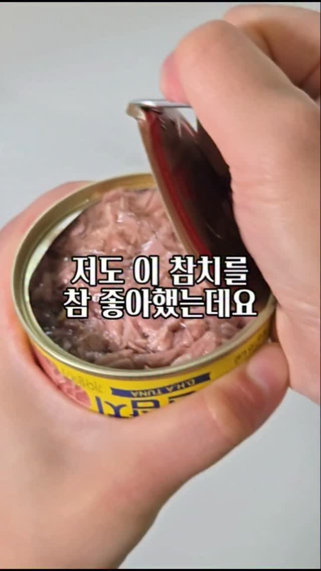 에어리 썸머 니트 & 도브 스커트