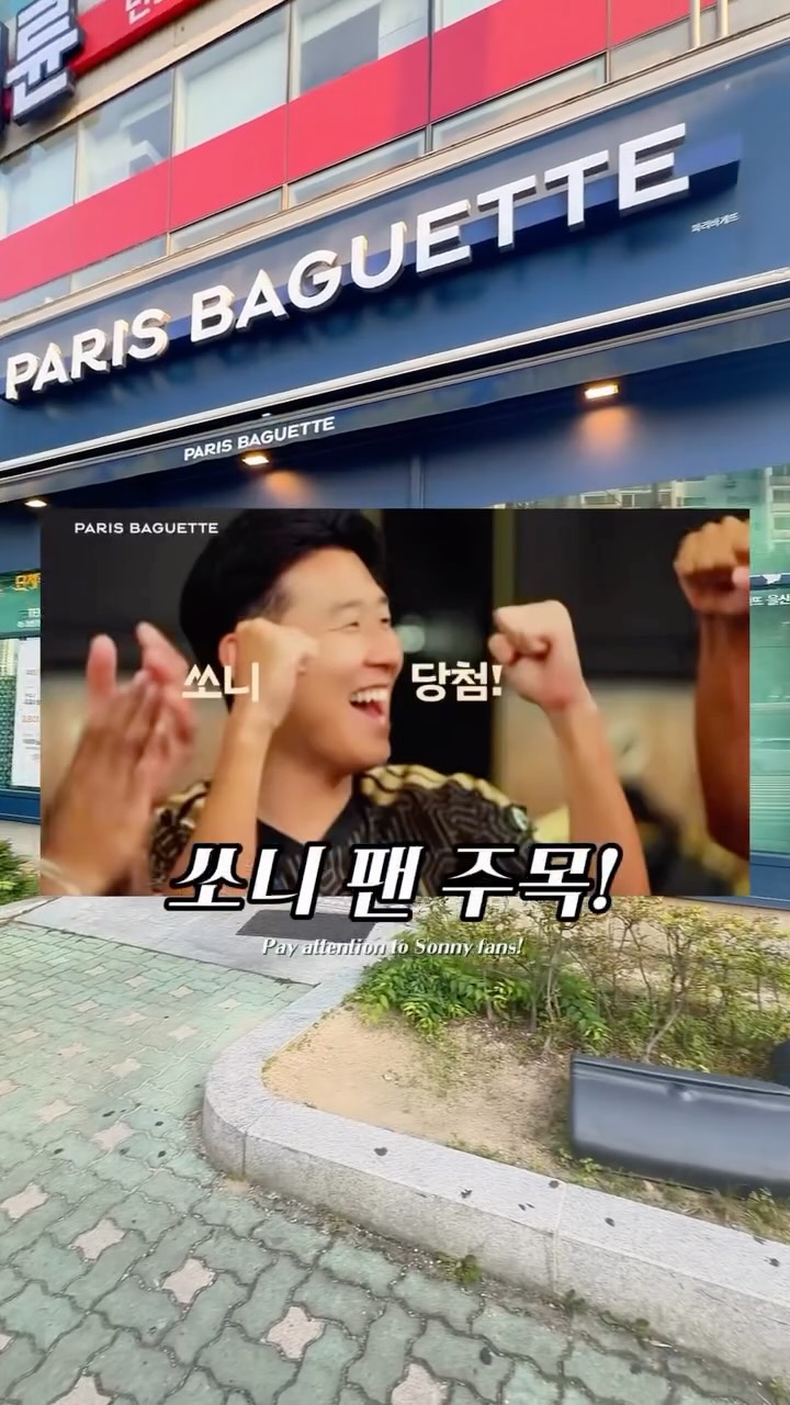 메종 브이넥 니트