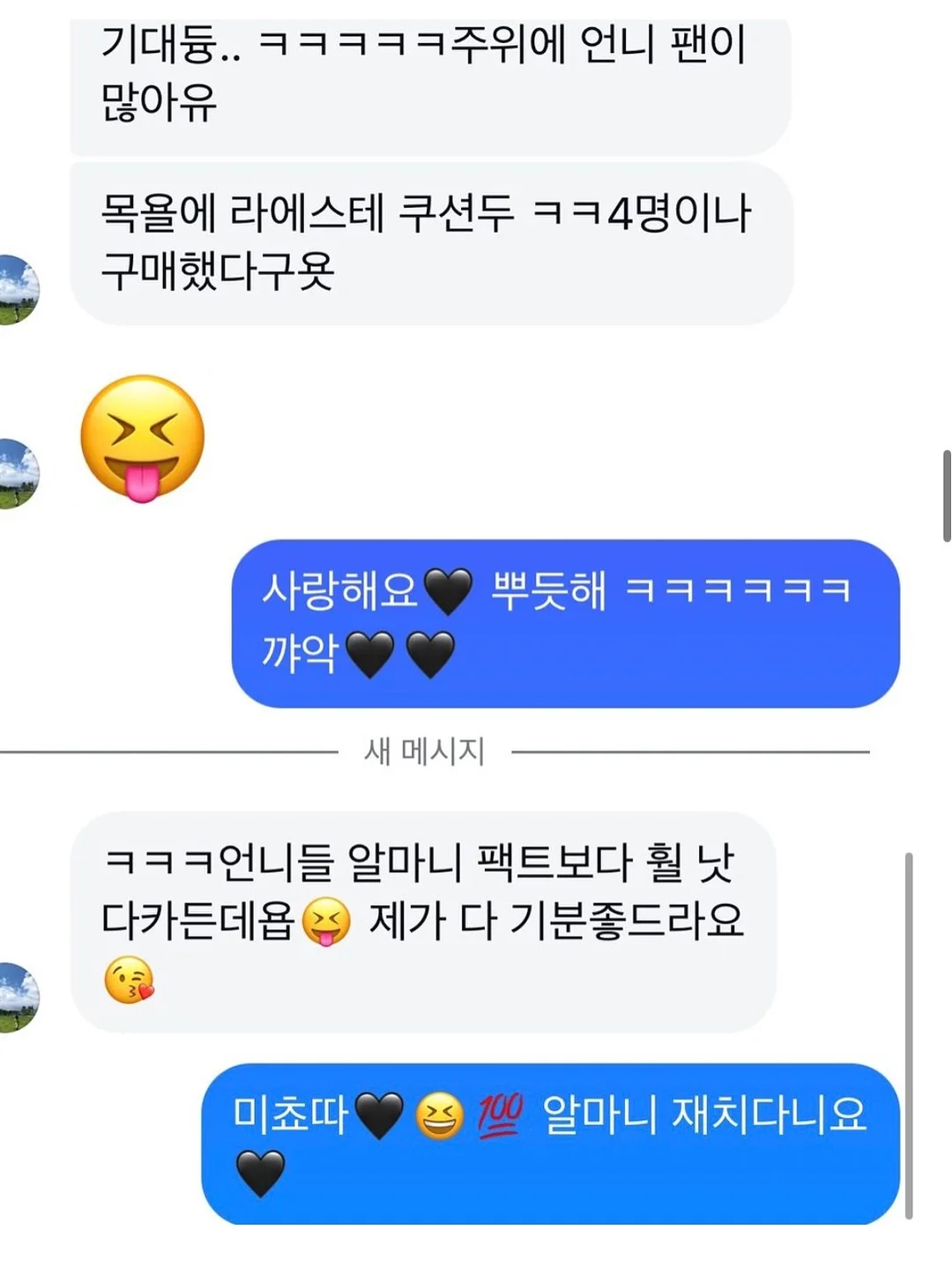 헬로치크 항균 스프레이 13