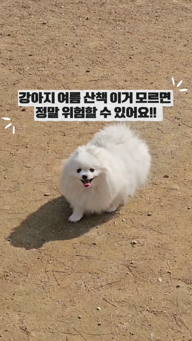 함흥냉면 10인분