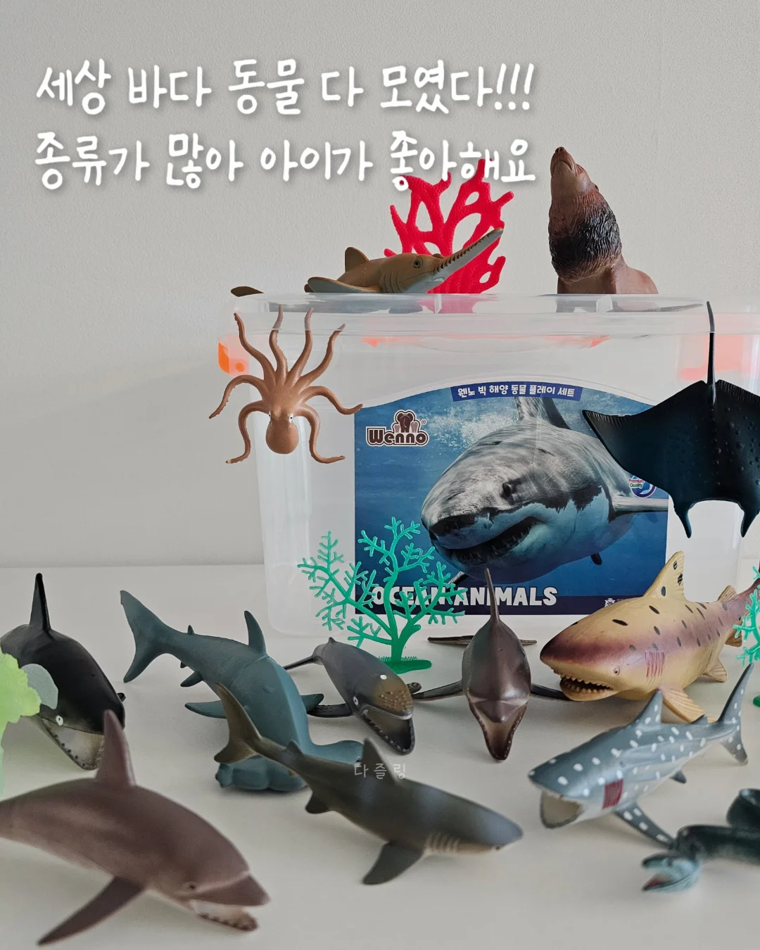 피부관리 13