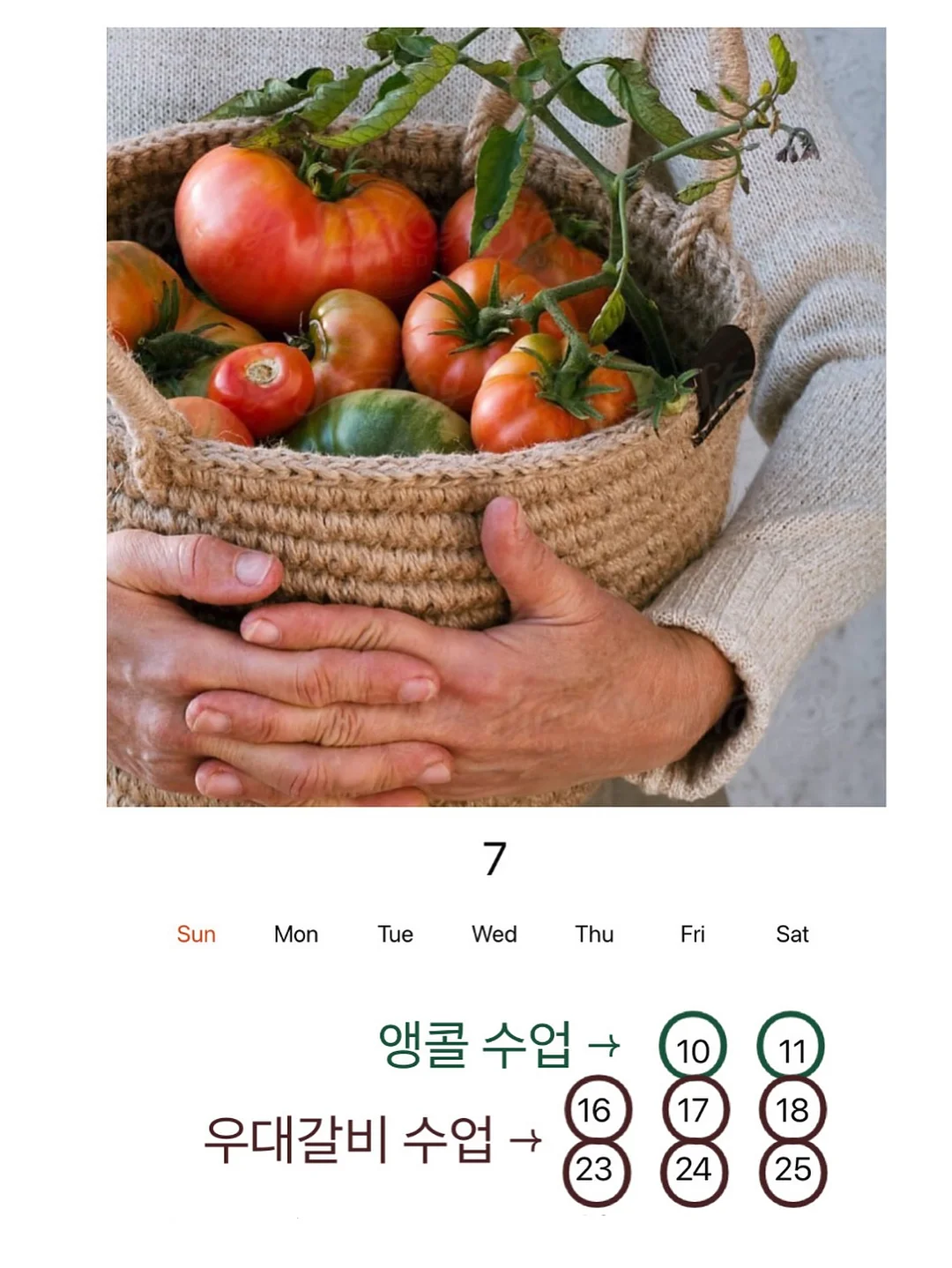 초미니 물티슈 3종 1