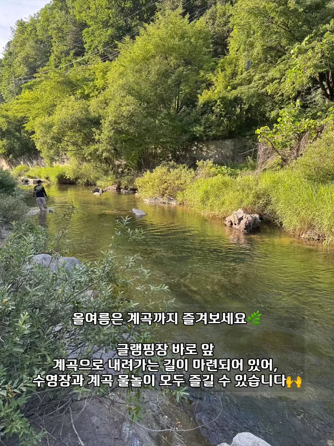 셔츠 5