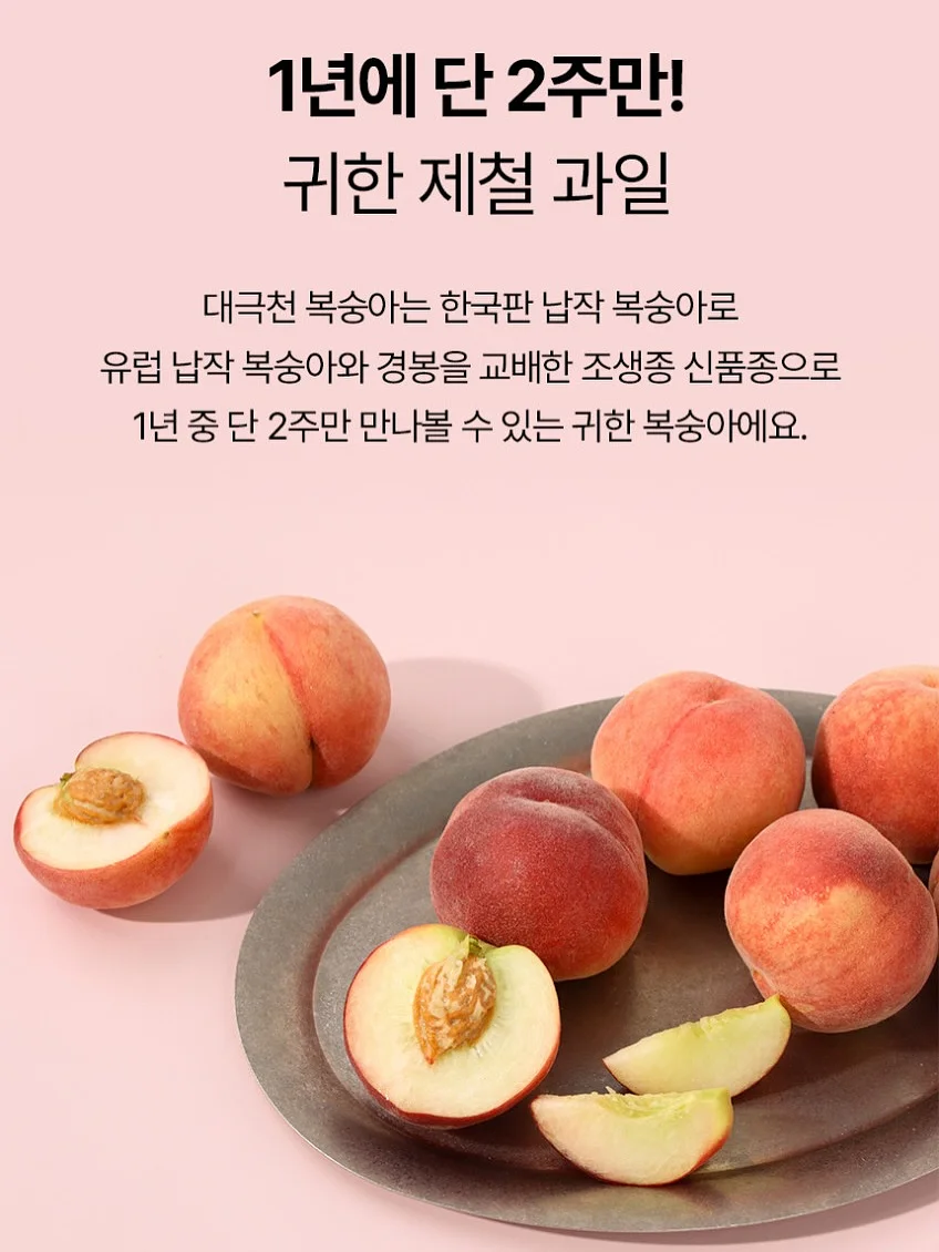 보석십자수 저금통/인테리어용 2