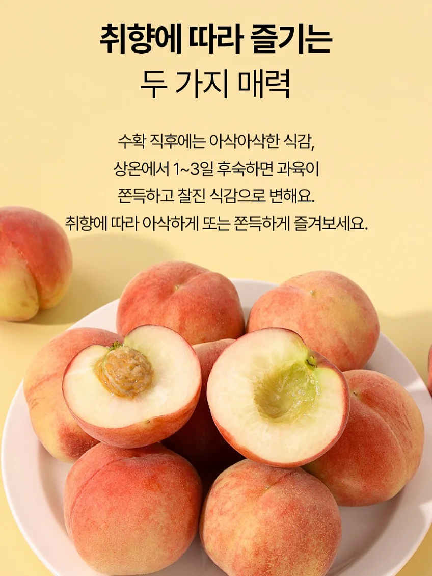 보석십자수 저금통/인테리어용 3