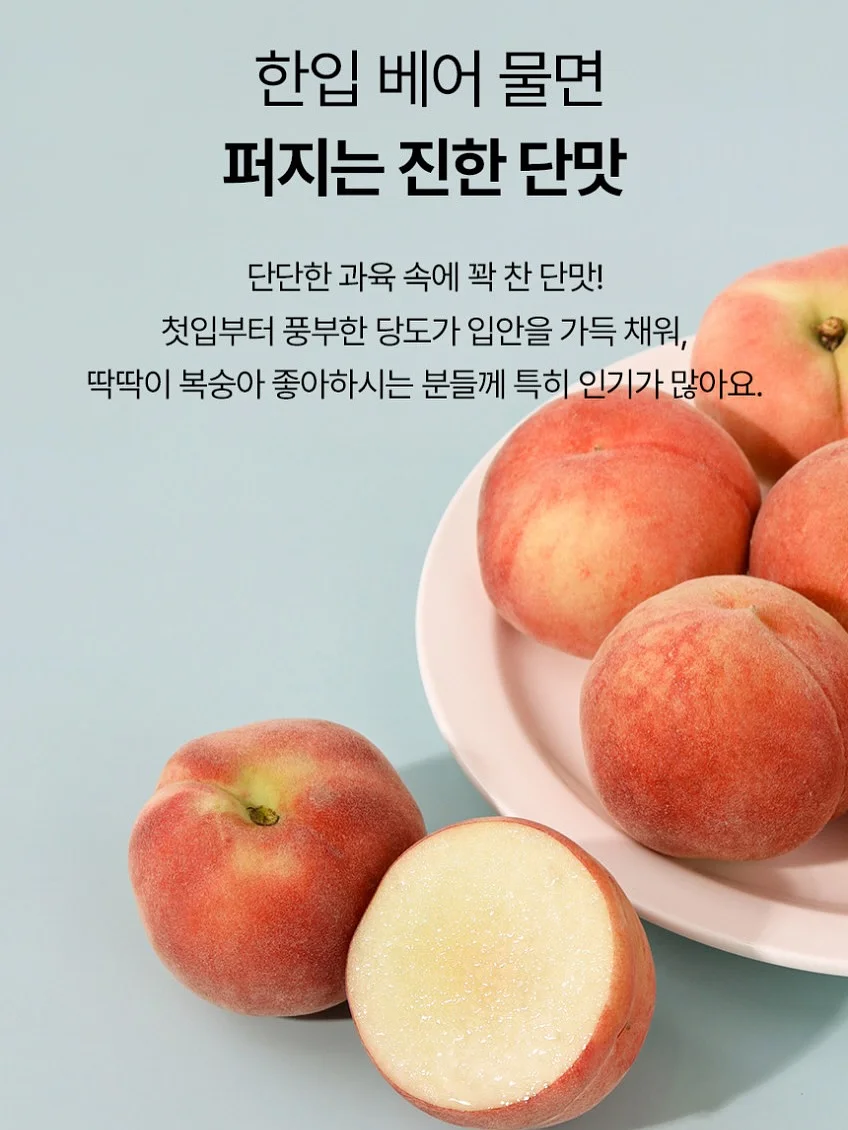보석십자수 저금통/인테리어용 4