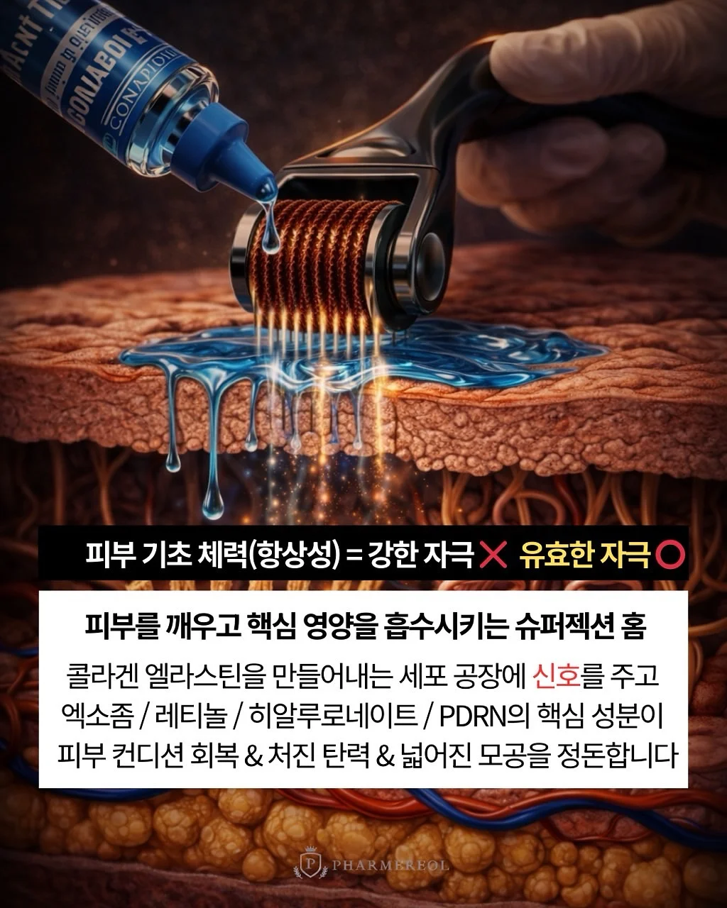 마주다이어리 2025 6