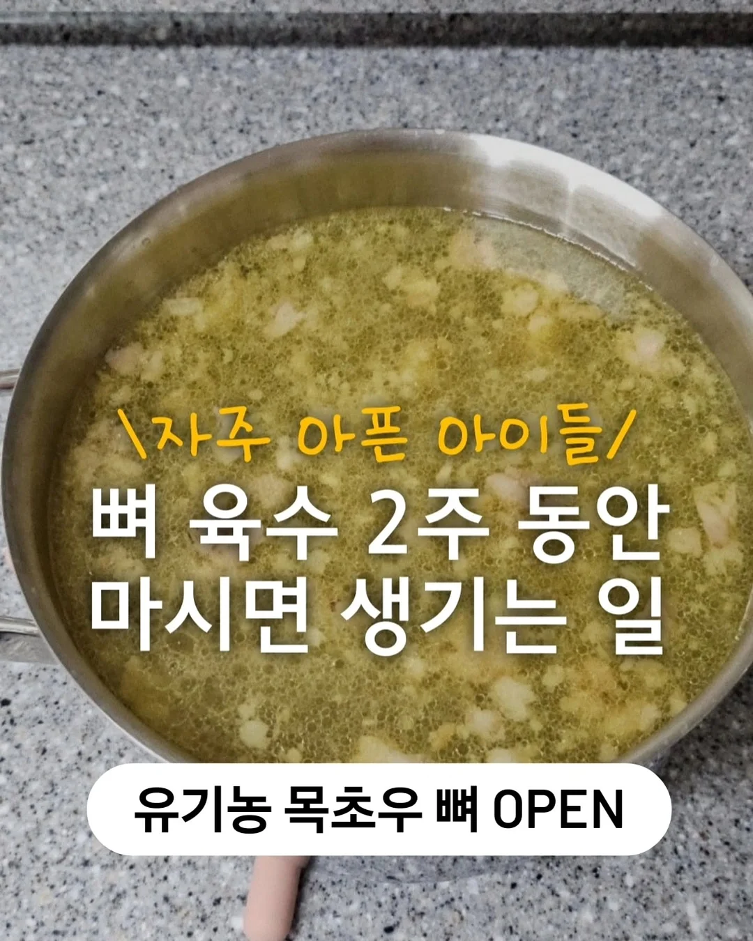 고양이 장난감 1