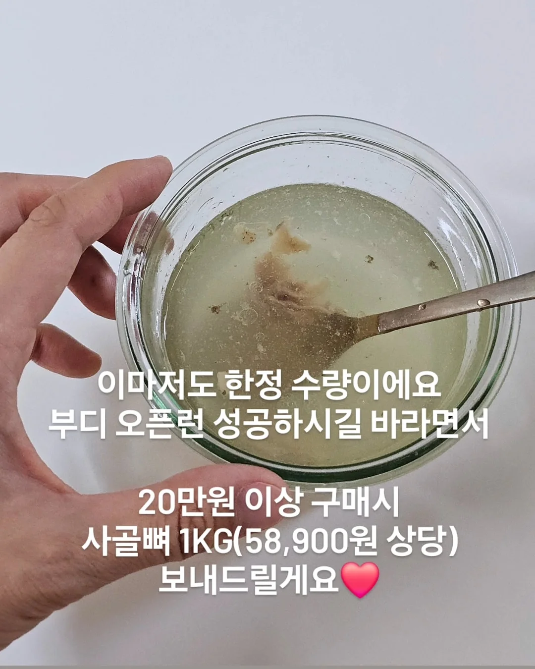 고양이 장난감 8