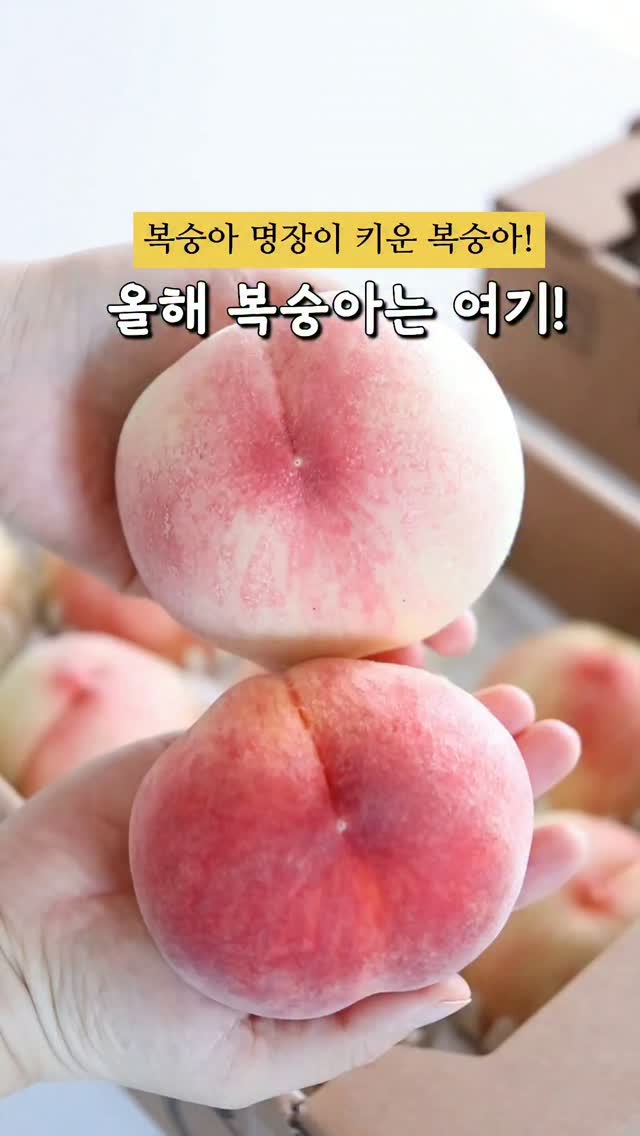 파우더 멜팅샷 No.4