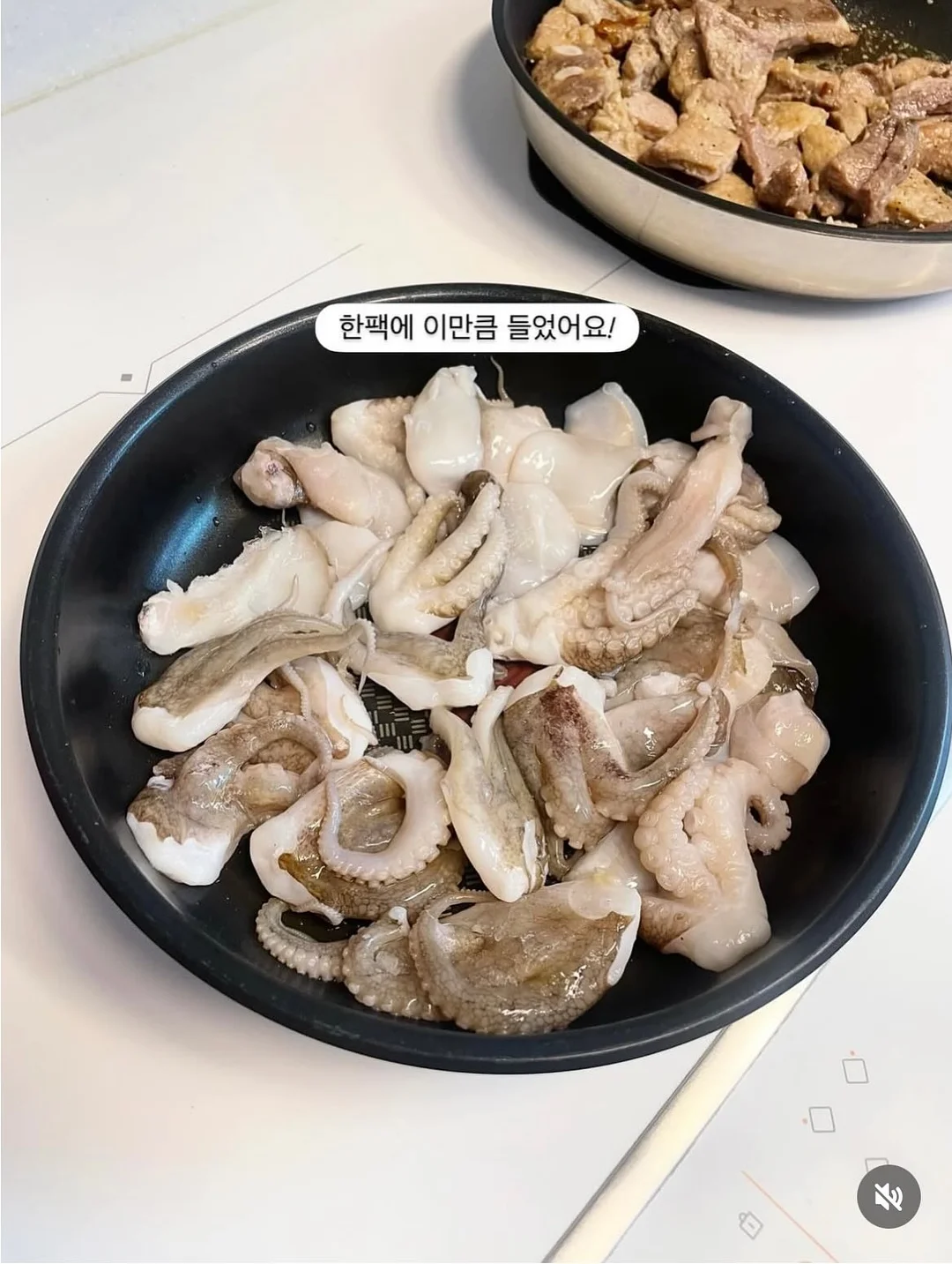 드라이기 6