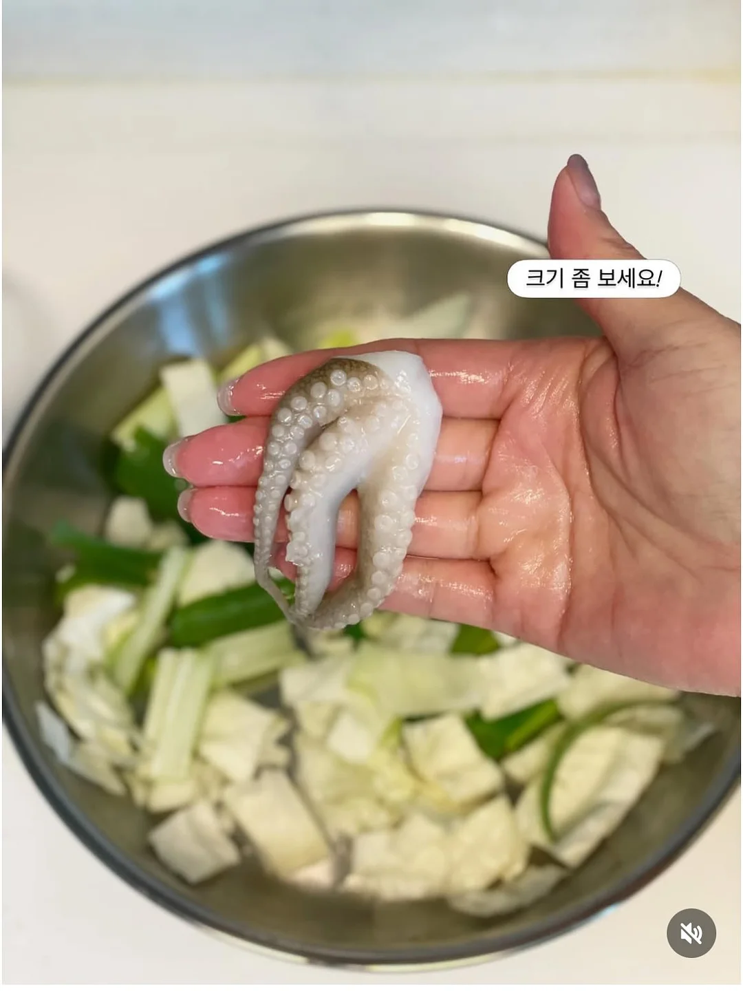 드라이기 7