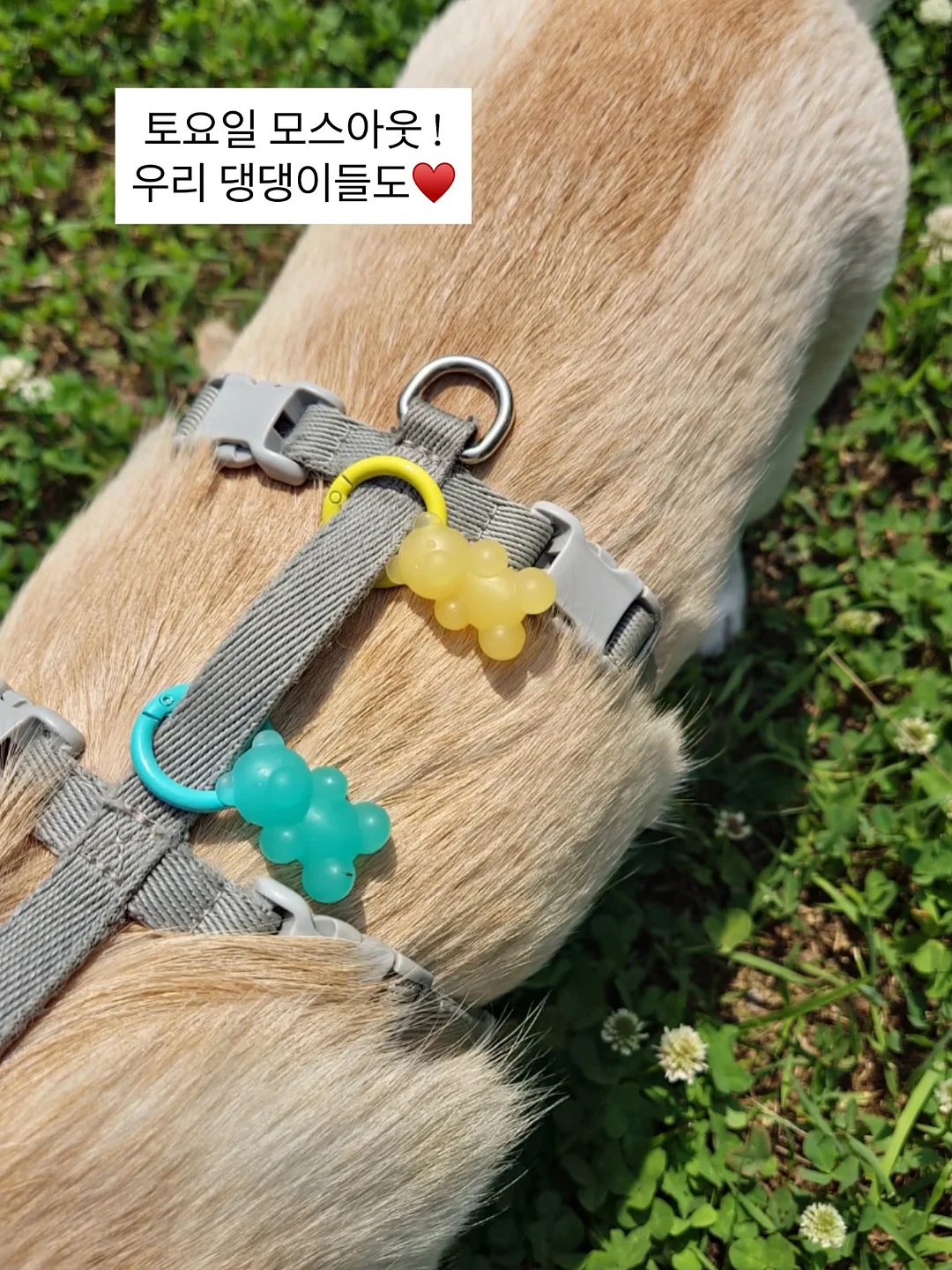 오이 사과 주스 4