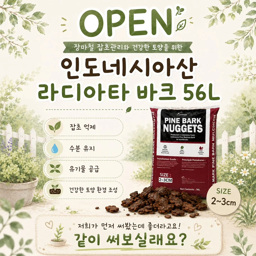 리블룸 호접란 1
