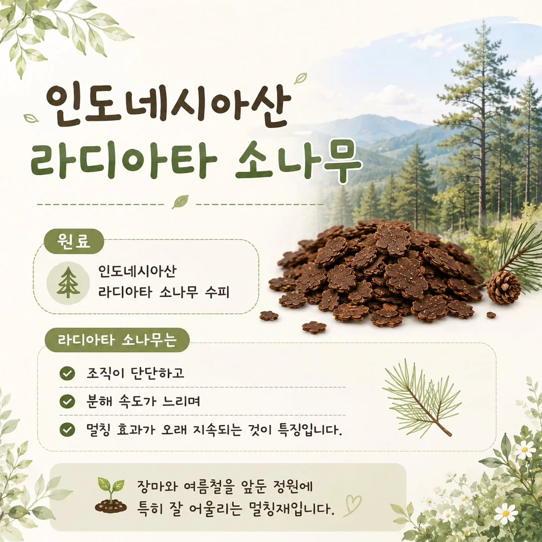 리블룸 호접란 2