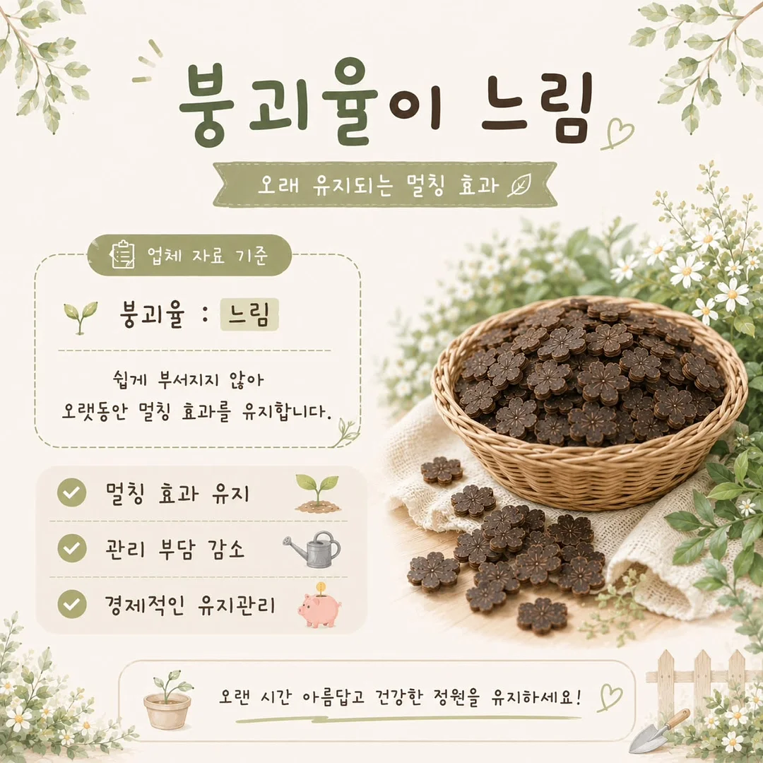 리블룸 호접란 5