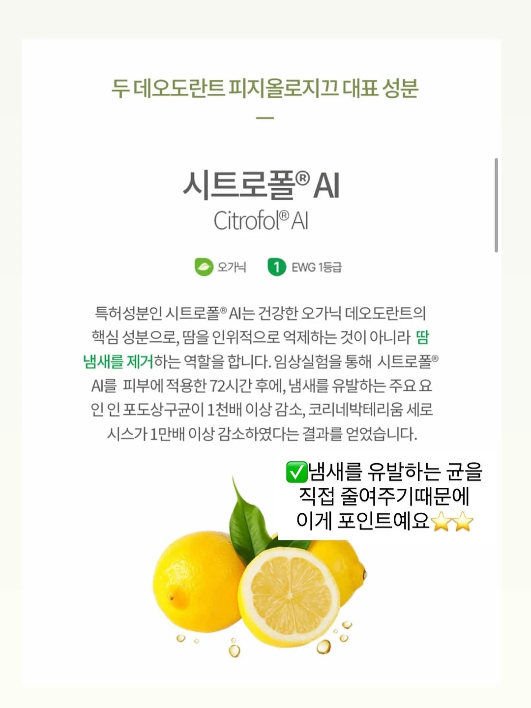원피스 2