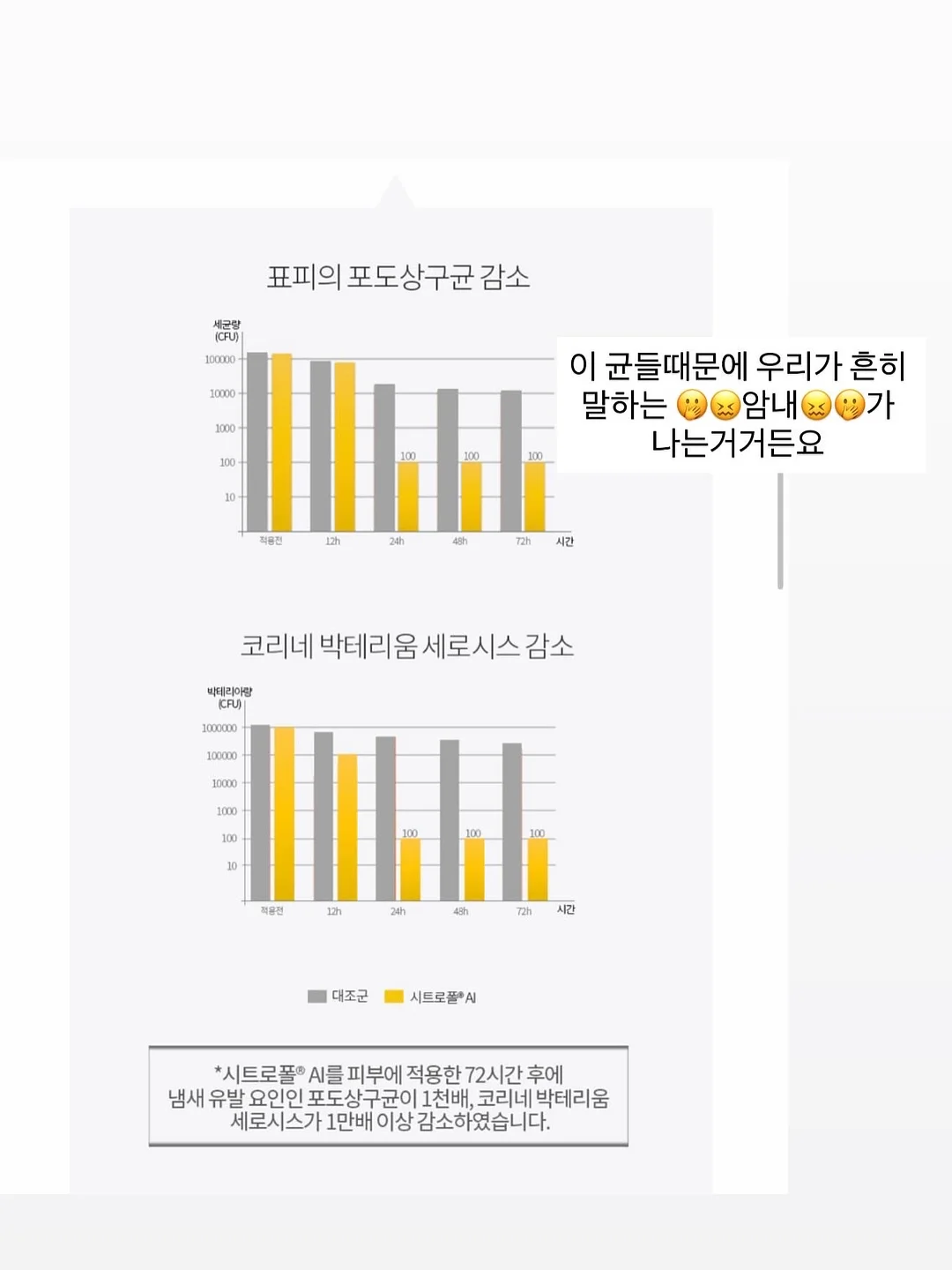 원피스 3
