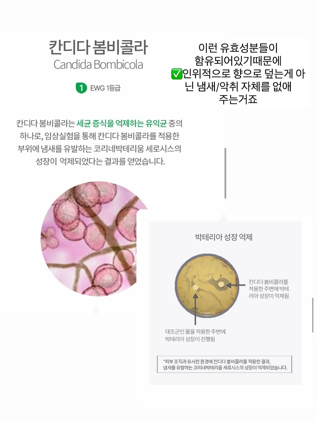원피스 4