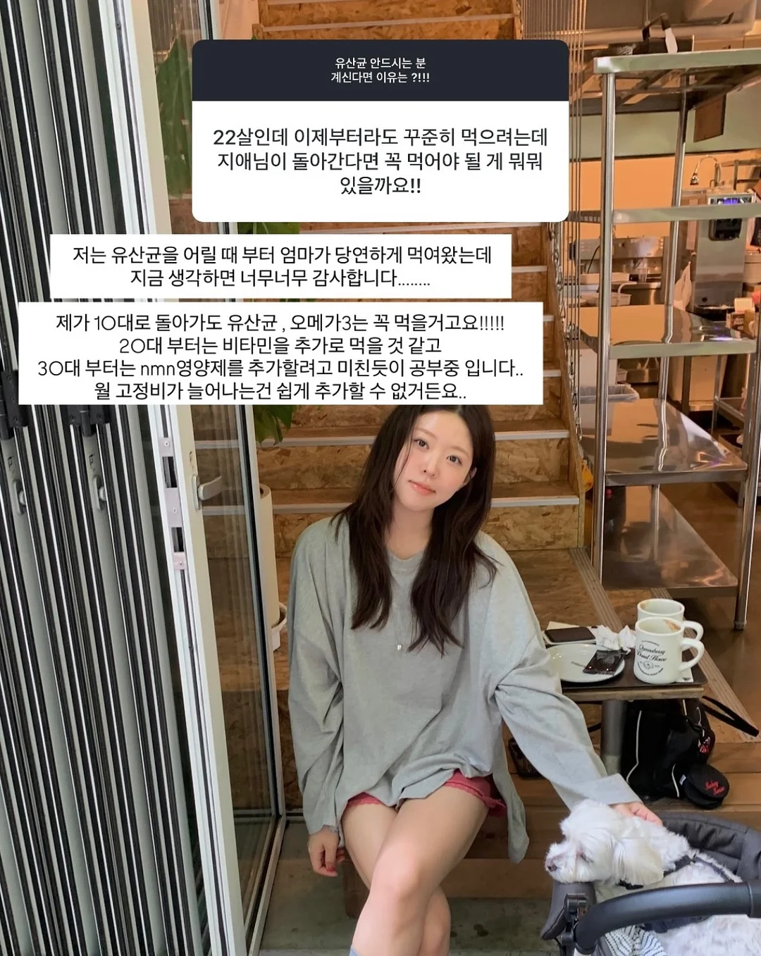 위시캣 매직카드폰 5