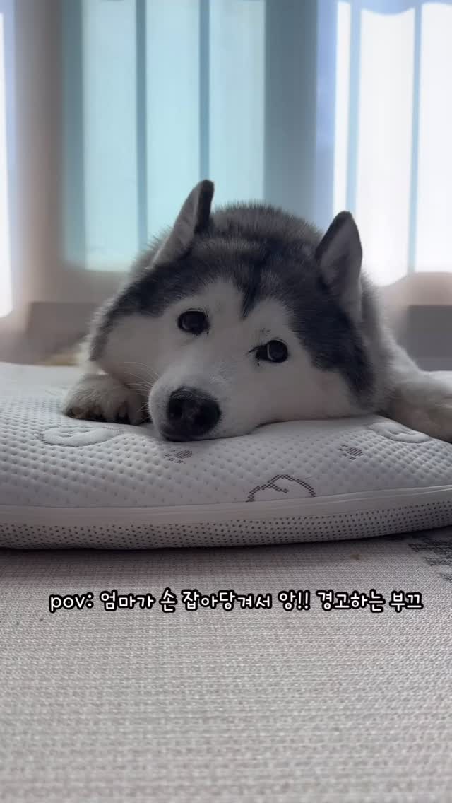 발렌타인 하트 케이크