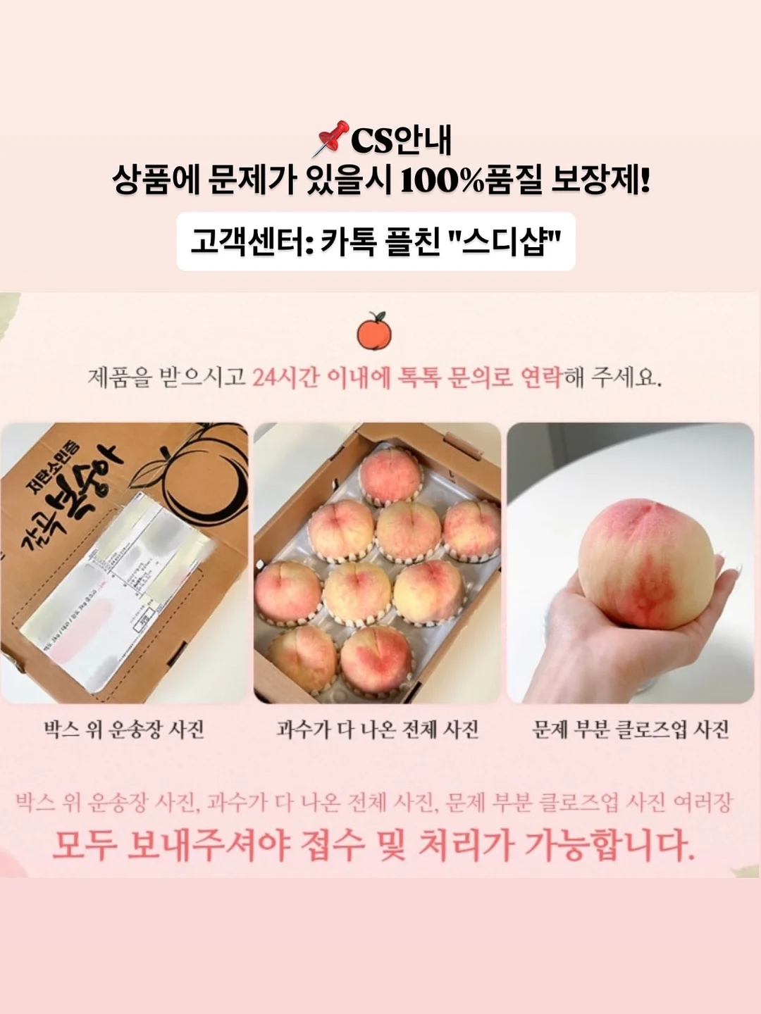 유기농 햇녹차 11