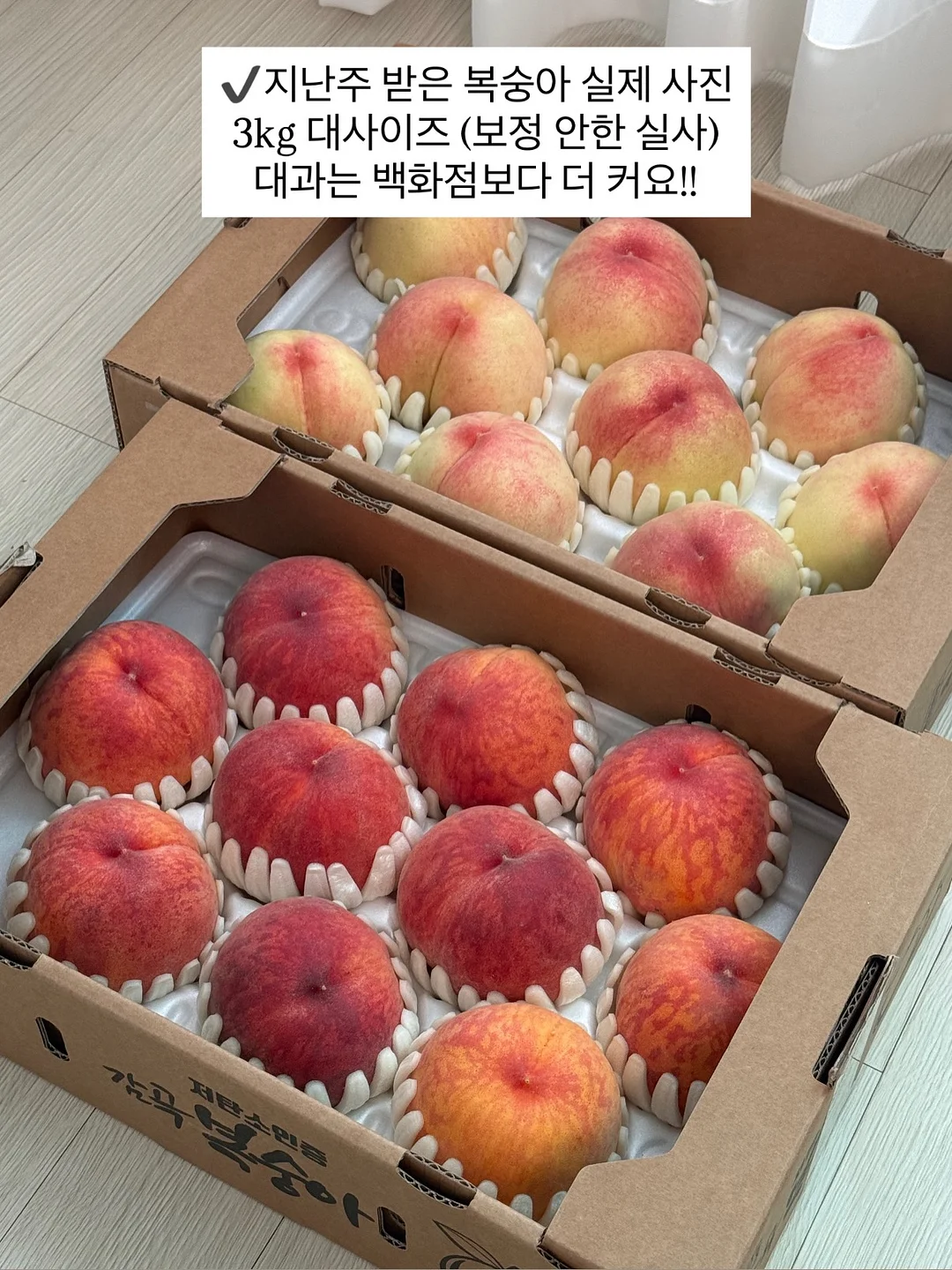 유기농 햇녹차 5