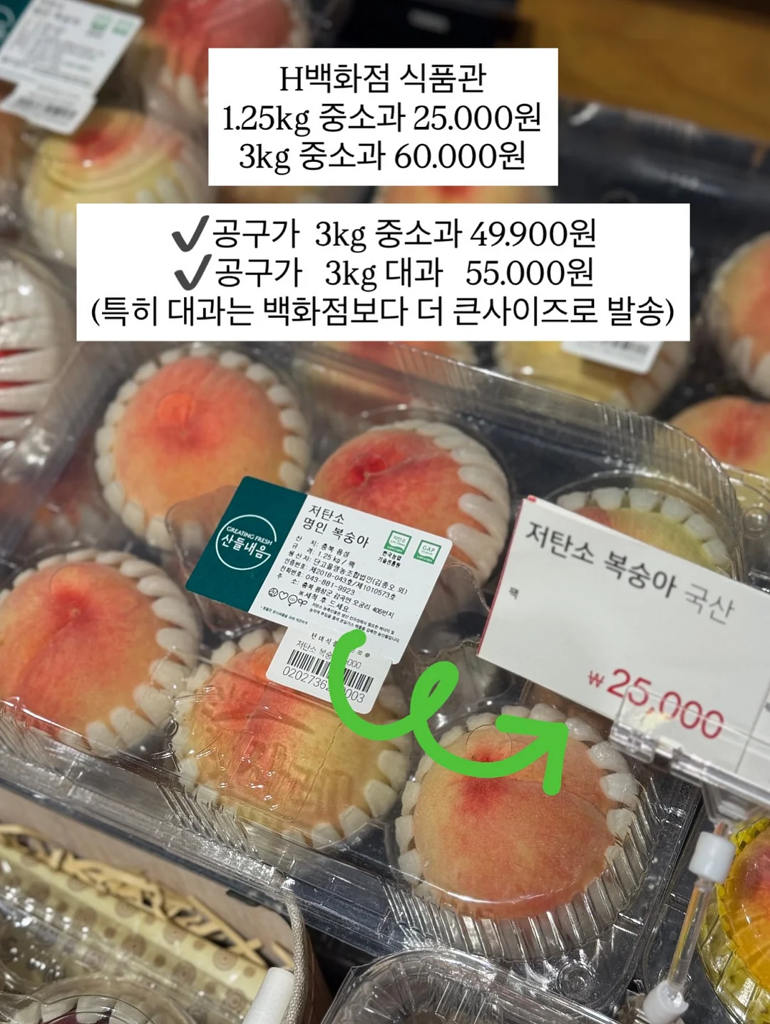 유기농 햇녹차 8