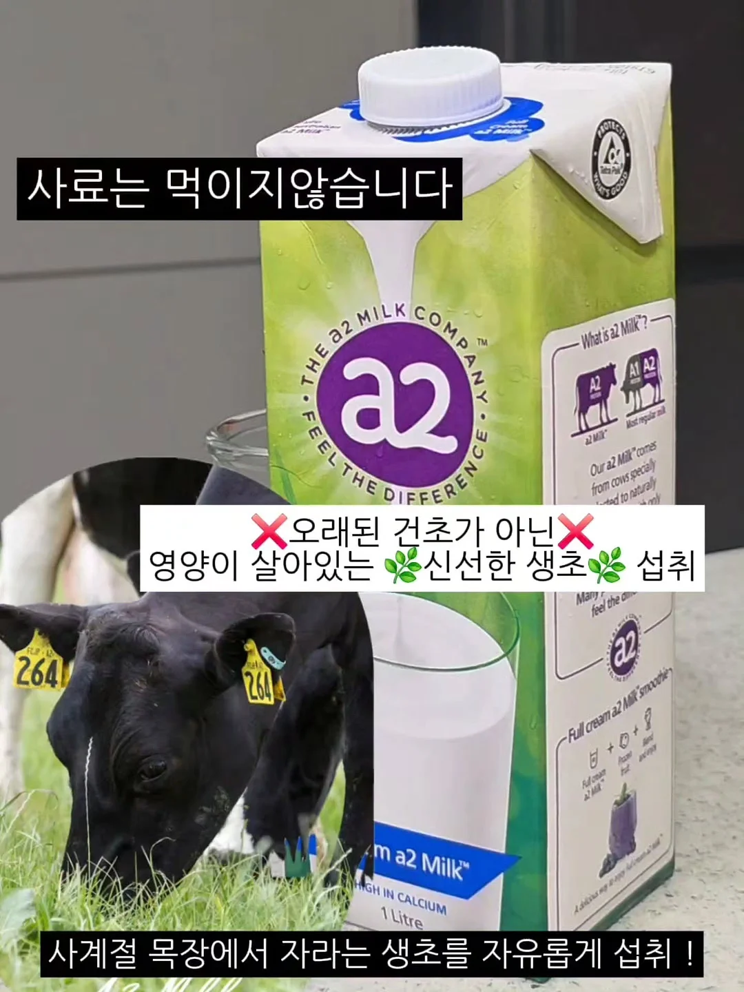 버버리 허 향수 11