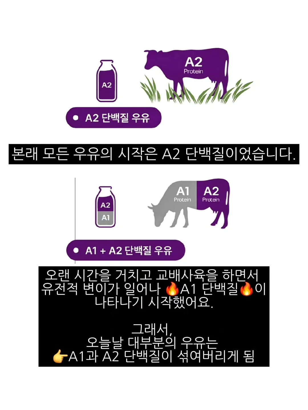 버버리 허 향수 7