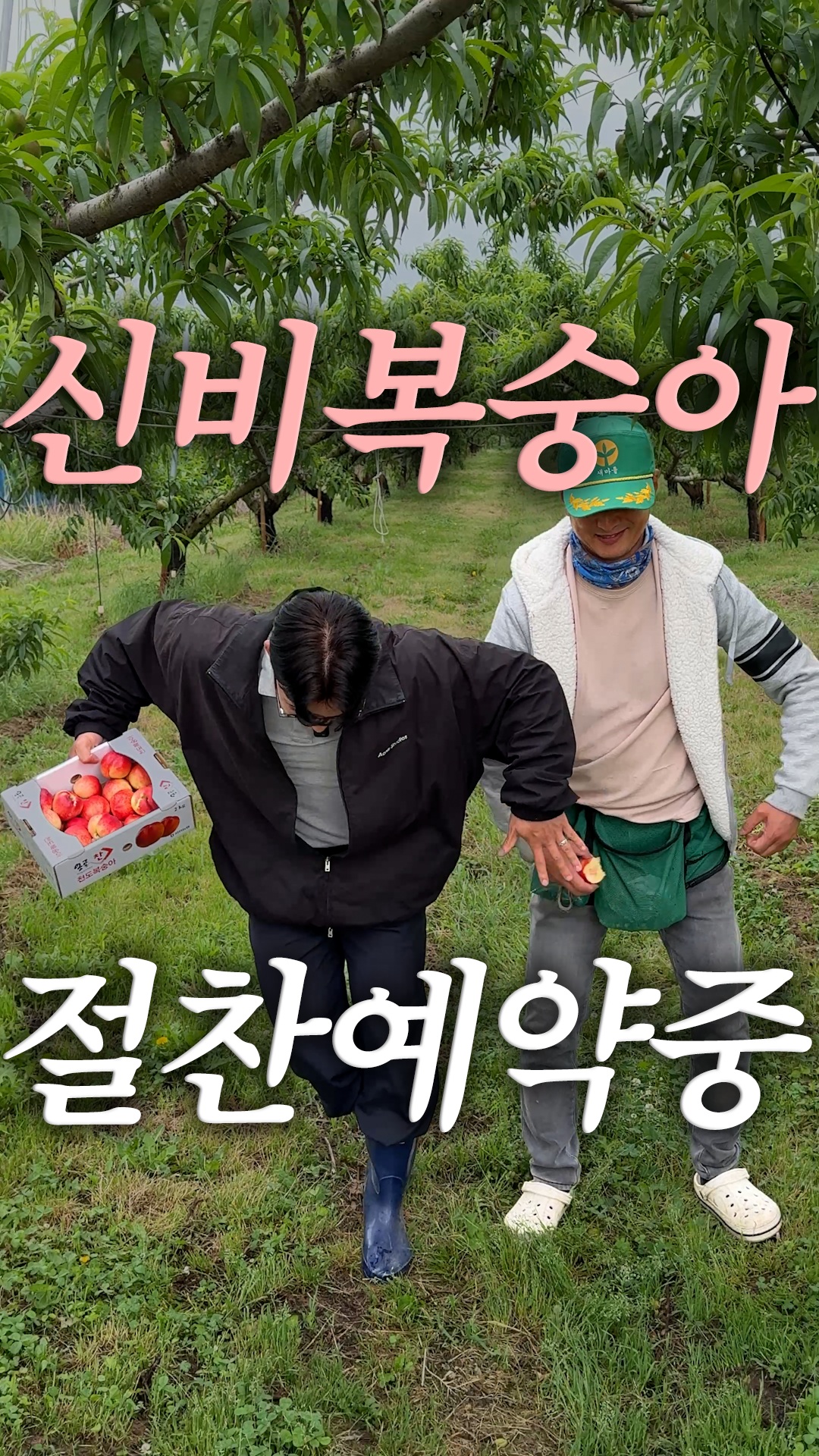 데이테이블 세트