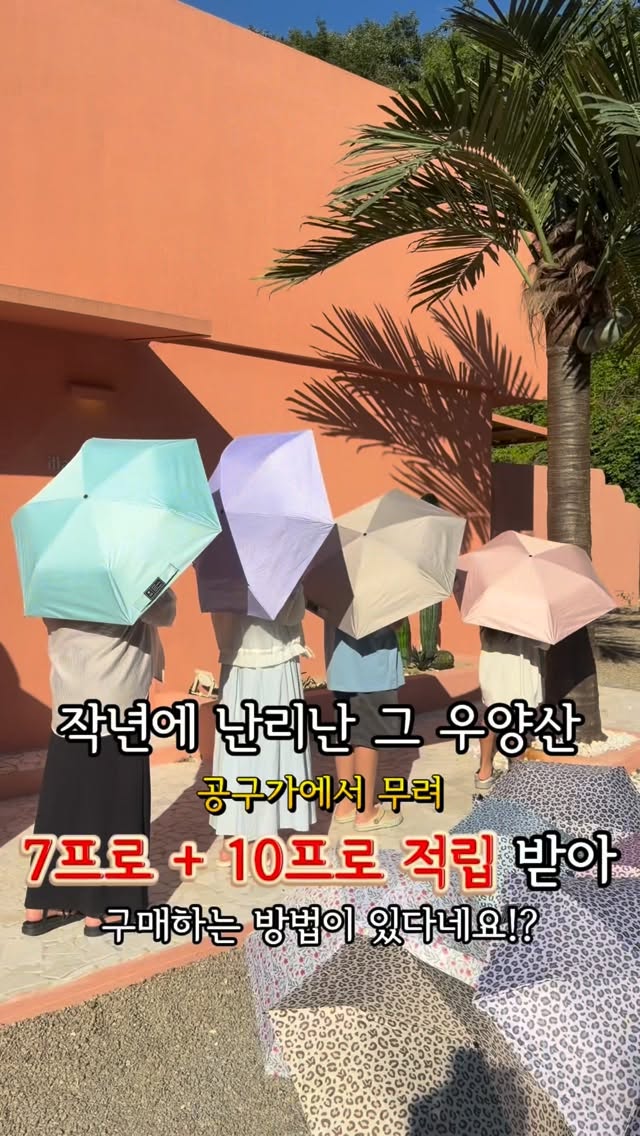 로즈 레이스백