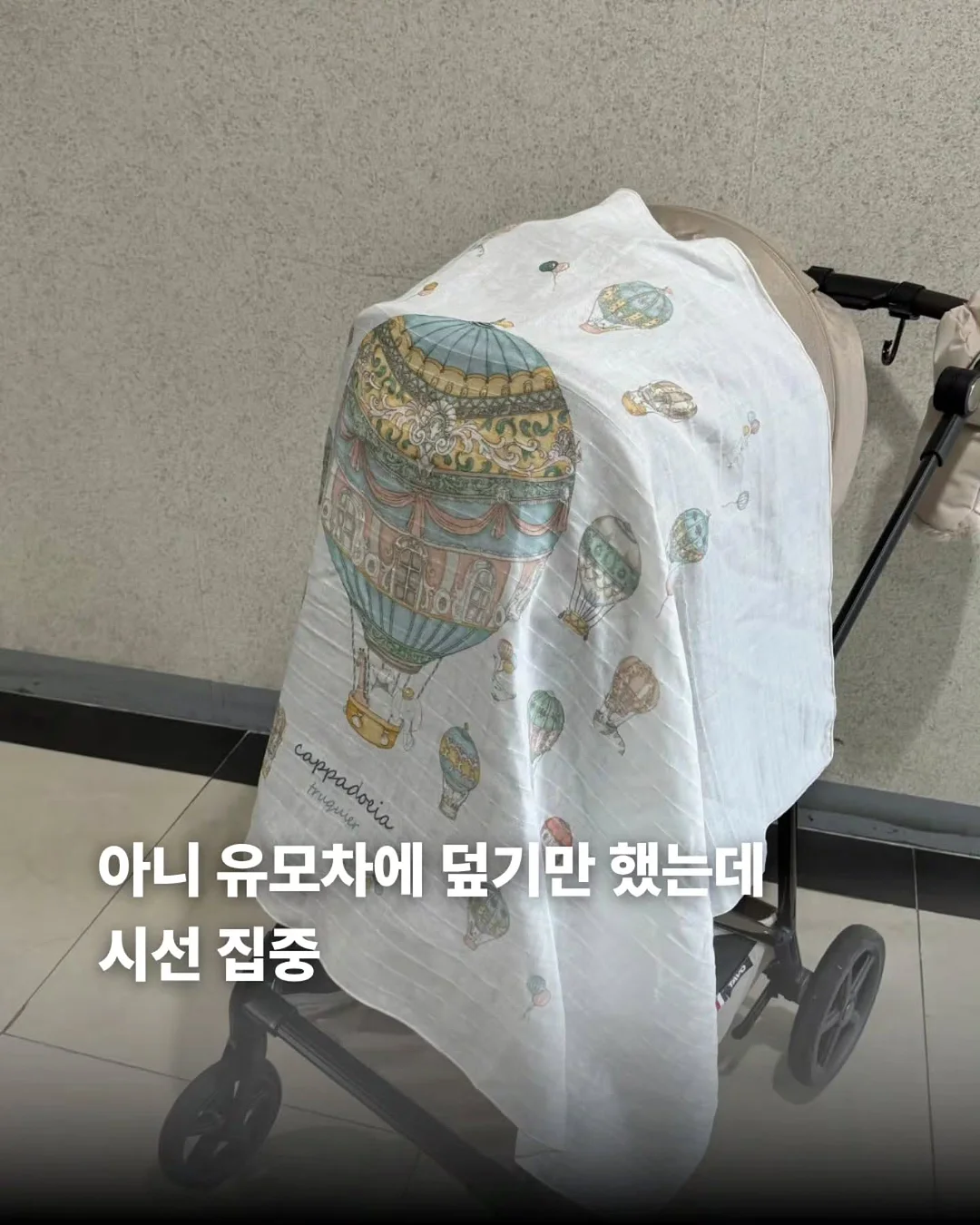 베베리본배색나시티 1