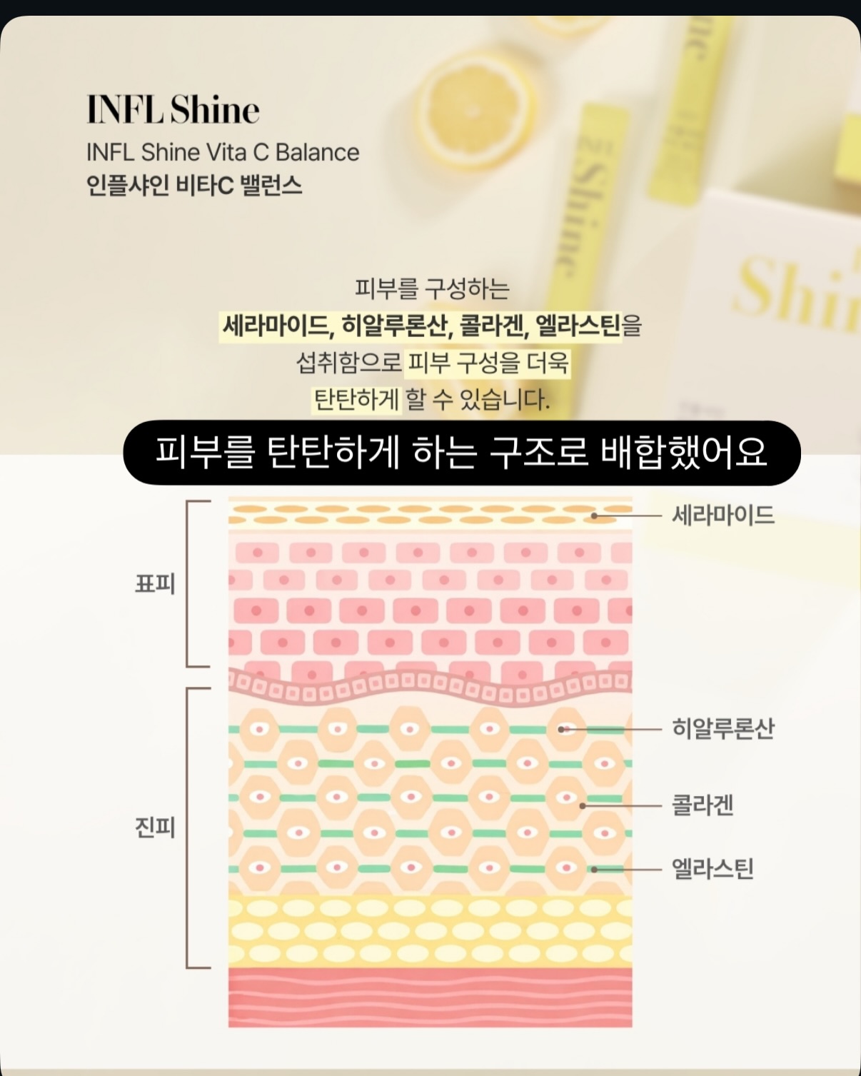 딸기푸딩 10