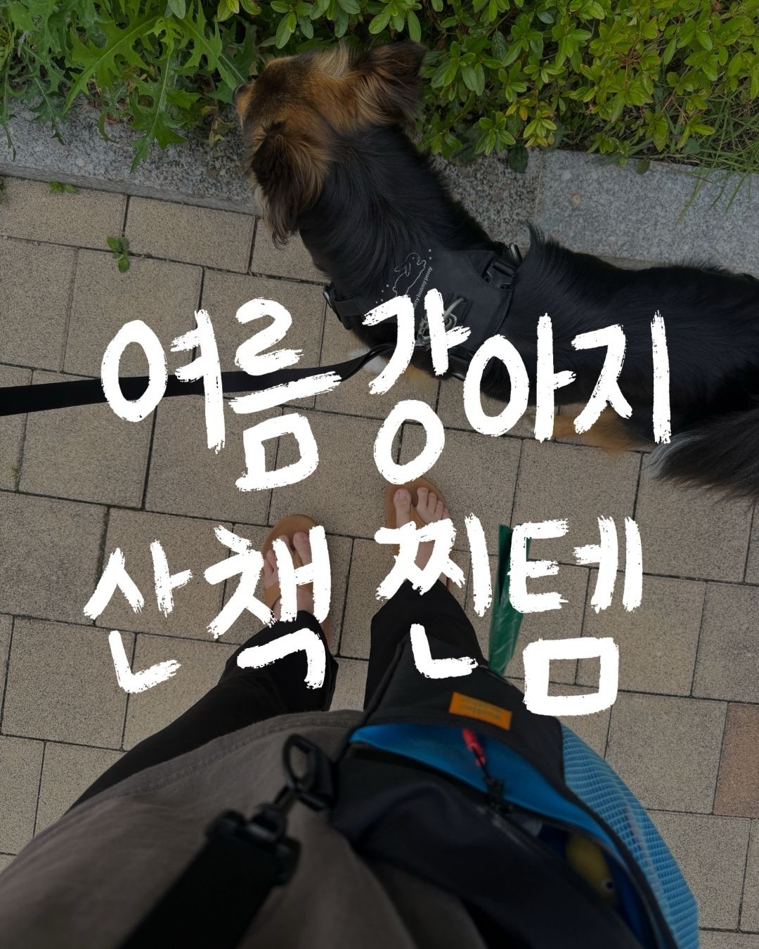 바나나푸딩 비대면 클래스 1