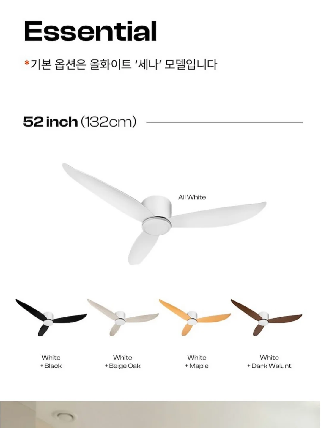 피아노 레슨 19